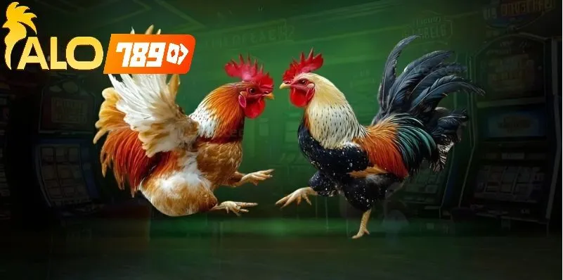 Alo789 Đá Gà Trực Tiếp – Trải Nghiệm Cá Cược Sống Động Và Uy Tín Hàng Đầu